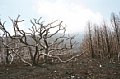 057_7.JPG