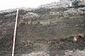 070_20.JPG