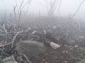 P7145590.JPG