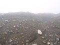 P7145630.JPG