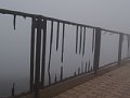 P7145642.JPG