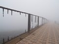 P7145644.JPG