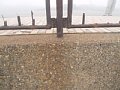 P7145645.JPG