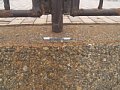 P7145646.JPG