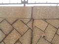 P7145647.JPG