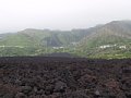 P7145682.JPG