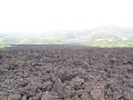 P7145684.JPG
