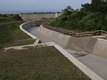 P7145698.JPG