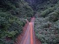 P7145710.JPG