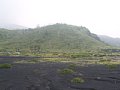 P7145735.JPG
