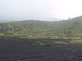 P7145736.JPG