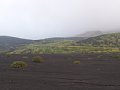P7145737.JPG