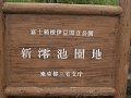P7155739.JPG