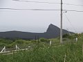 P7155743.JPG