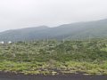 P7155758.JPG