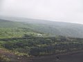 P7155760.JPG