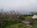 P7155776.JPG