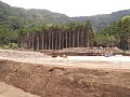 P7155812.JPG