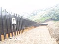 P7155822.JPG