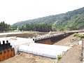 P7155827.JPG