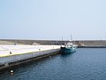 P7155837.JPG