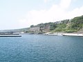 P7155843.JPG