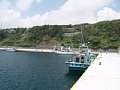 P7155844.JPG