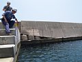 P7155846.JPG
