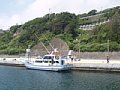 P7155850.JPG