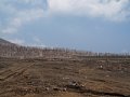 P7155865.JPG