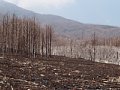 P7155871.JPG