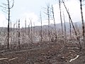 P7155873.JPG