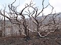 P7155874.JPG