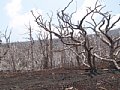 P7155875.JPG