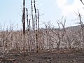 P7155876.JPG