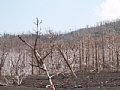 P7155880.JPG