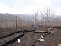 P7155899.JPG