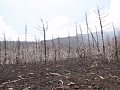 P7155903.JPG