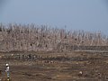 P7155910.JPG