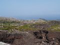 P7155920.JPG