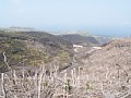 P7155940.JPG