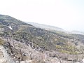 P7155950.JPG