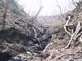 P7155955.JPG