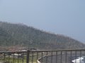 P7155979.JPG