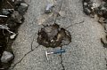 DSC_0549.JPG
