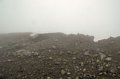 DSC_0565.JPG