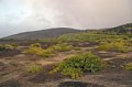 DSC_0619.JPG