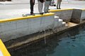 DSC_0679.JPG