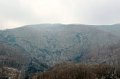 DSC_0690.JPG