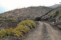 DSC_0705.JPG